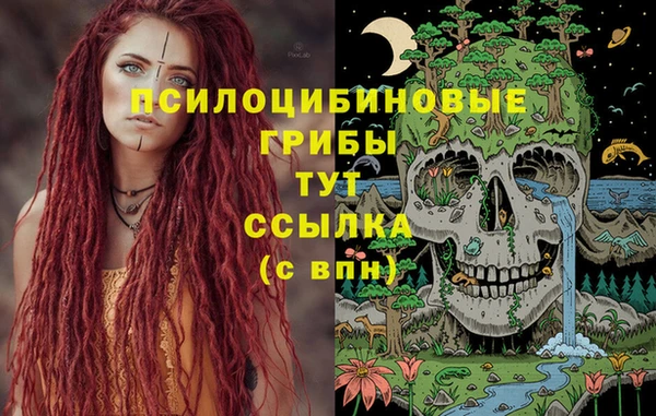МДМА Арсеньев