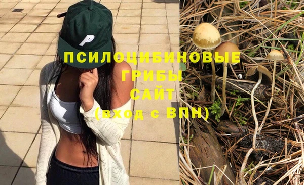 МДМА Арсеньев